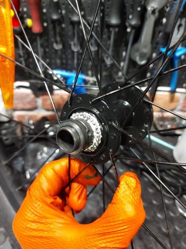 service freehub