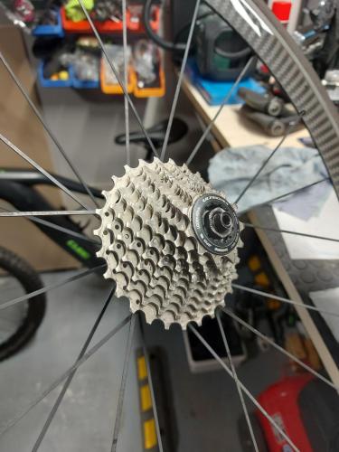 Curatat caseta pinioane