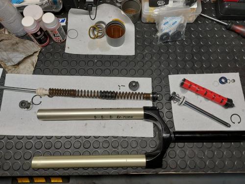 Service furca rock shox