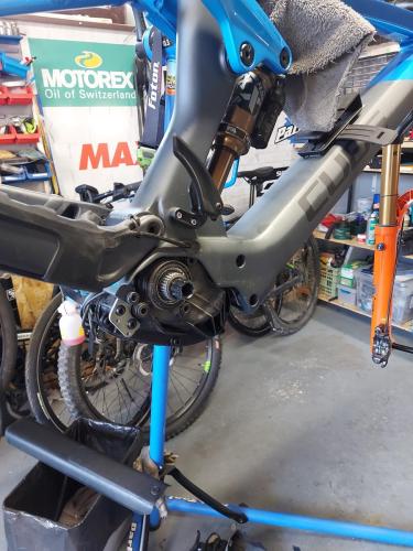 Mentenanta motor Bosch